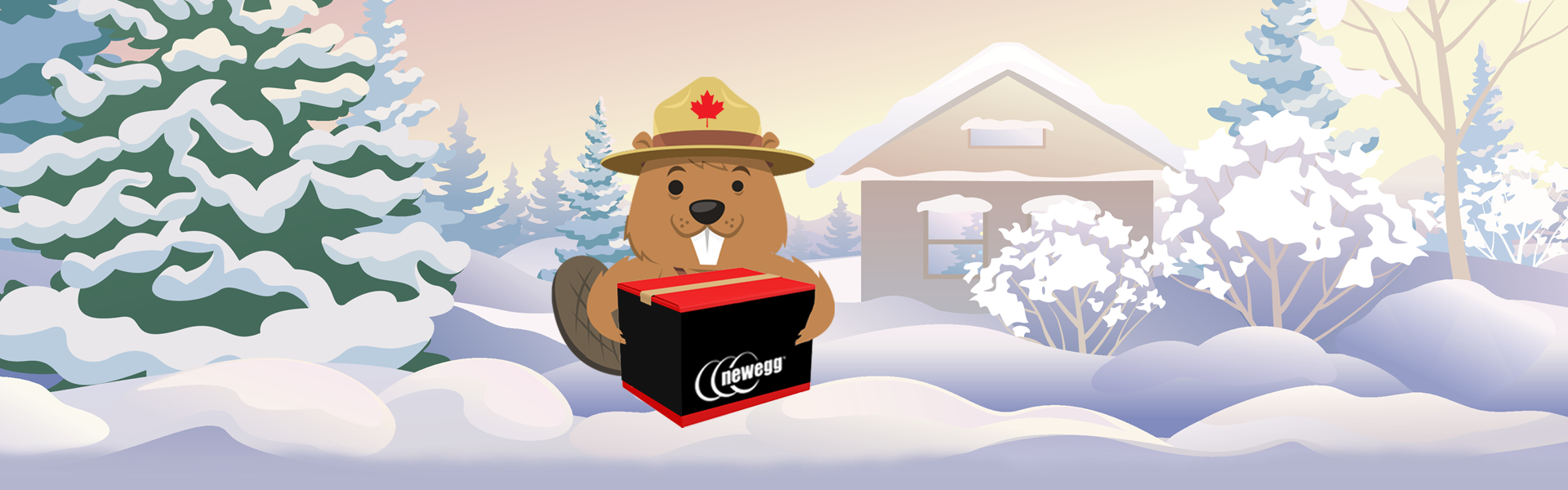 Newegg Celebrates Boxing Day with a Week-Long Sale for Customers in Canada