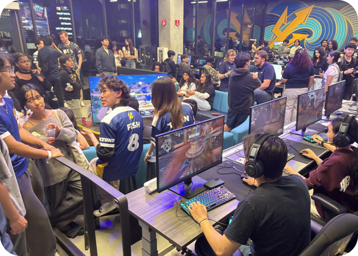 Supporting Gamers & Creators