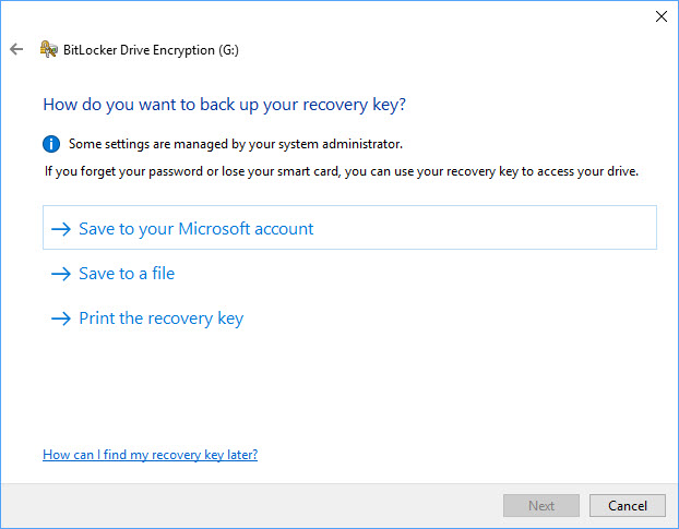 Secure Storage, bitlocker, Windows Bitlocker to Go