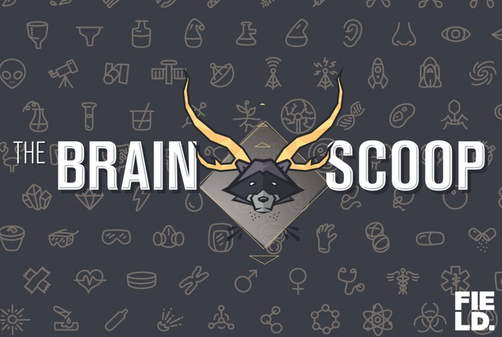 The Brain Scoop