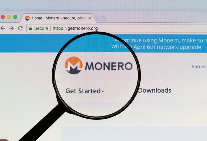 The Monero Logo