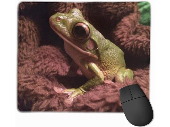 Frog on a Rug Mouse Pad