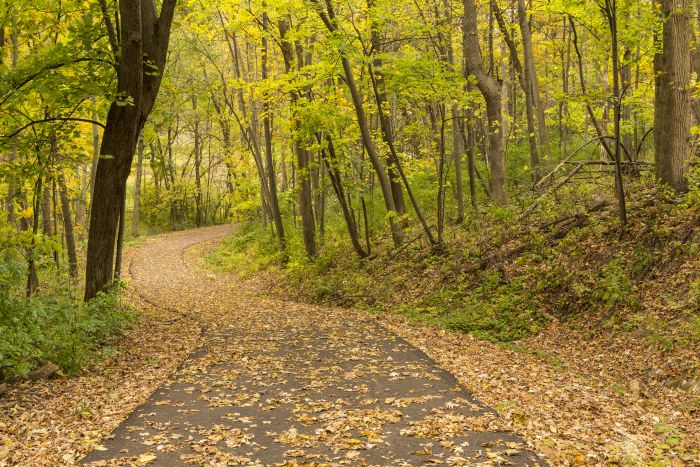 Paul Bunyan Trail
