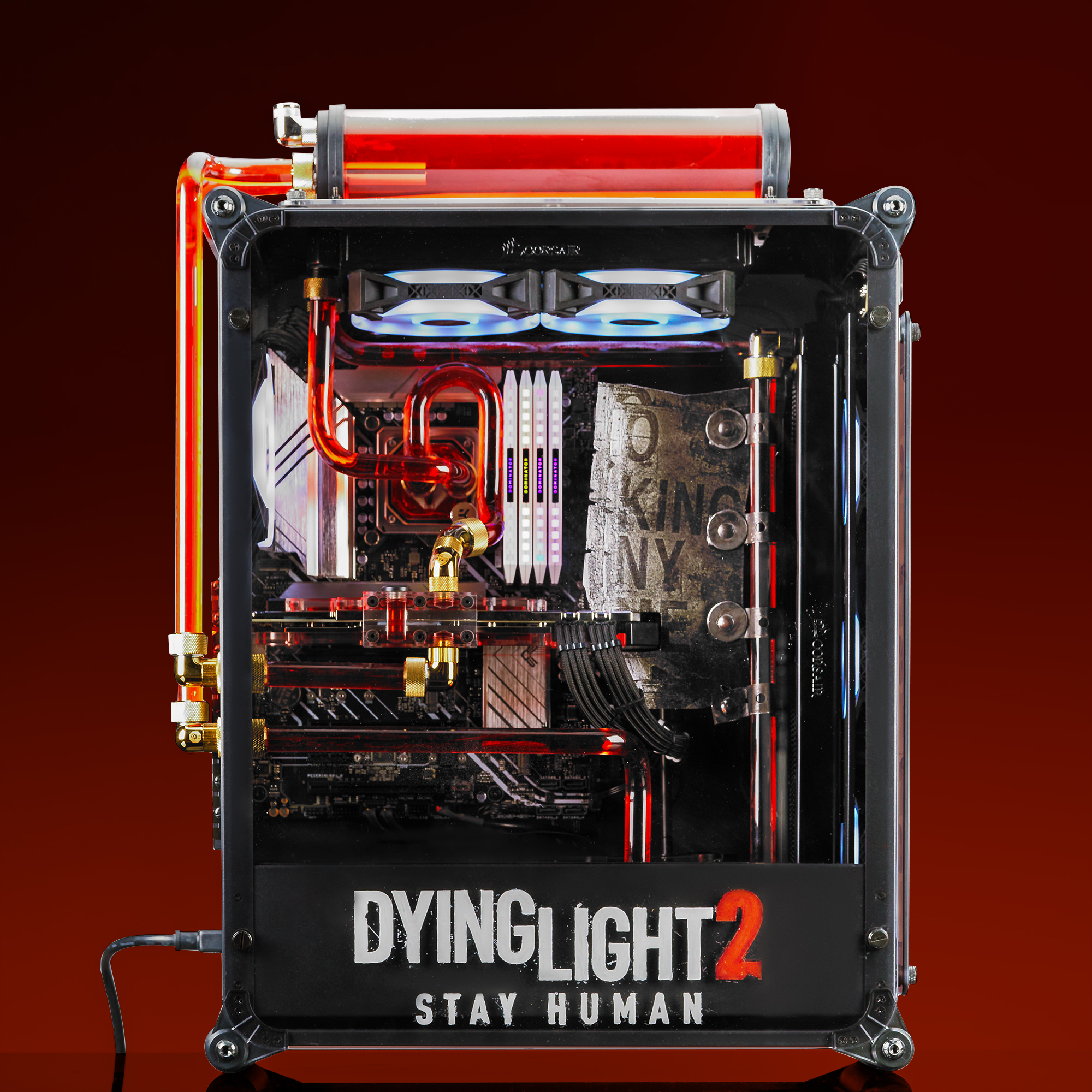Dying Light Build Front View