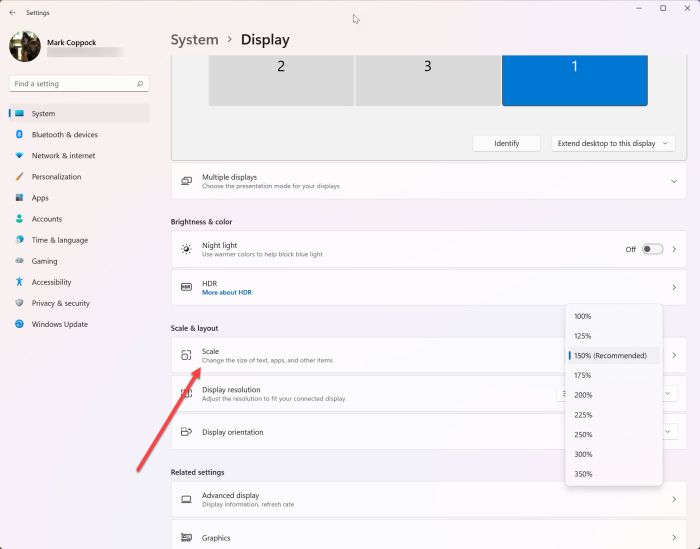 Scale setting for system display