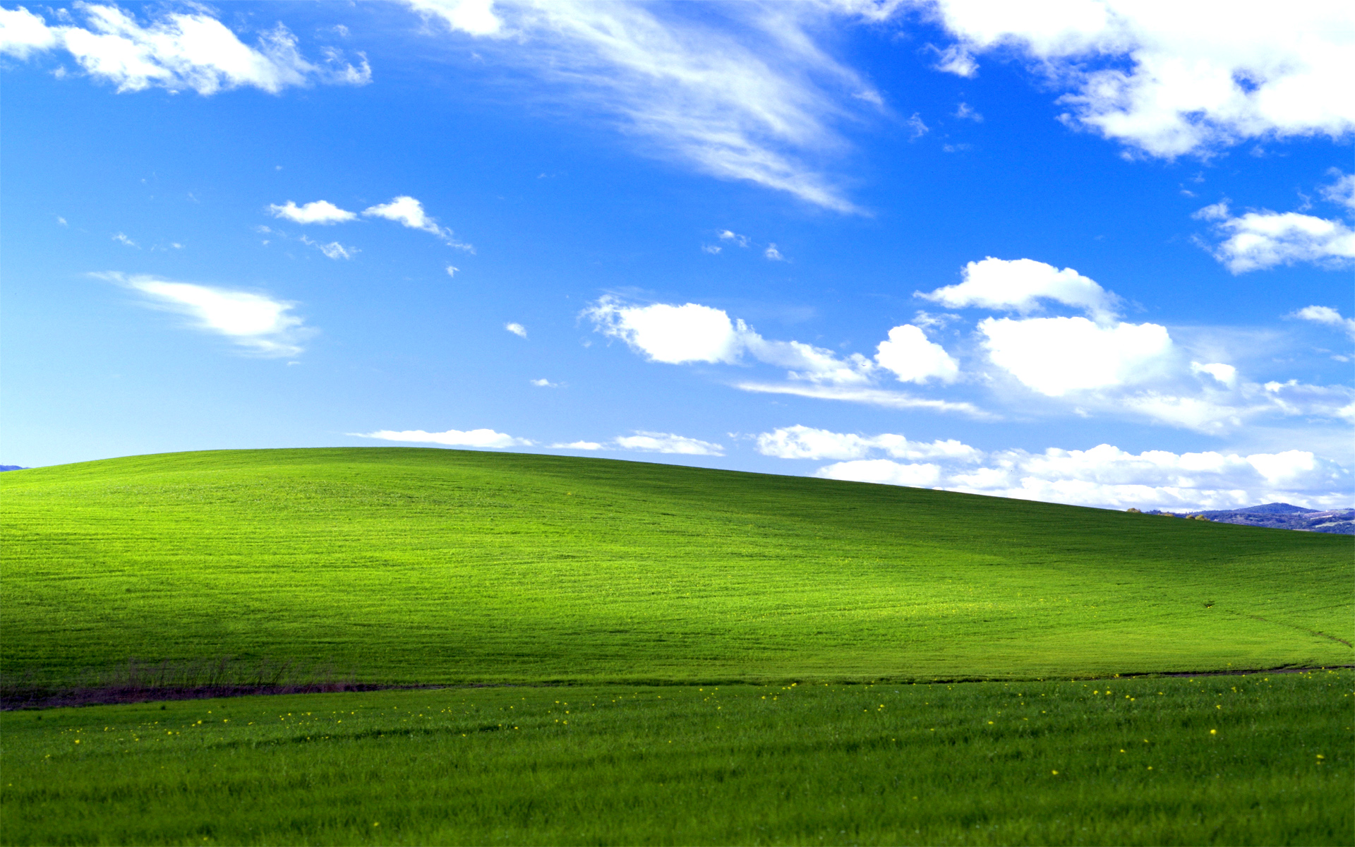 The History Behind Microsoft XP's “Bliss” Background - Newegg Insider